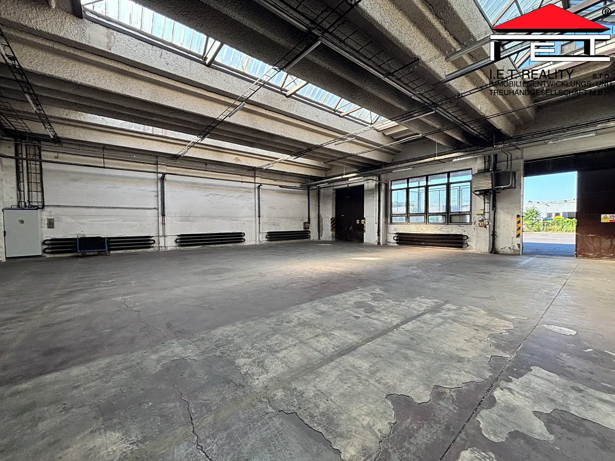 Pronájem obchodního prostoru 992 m²